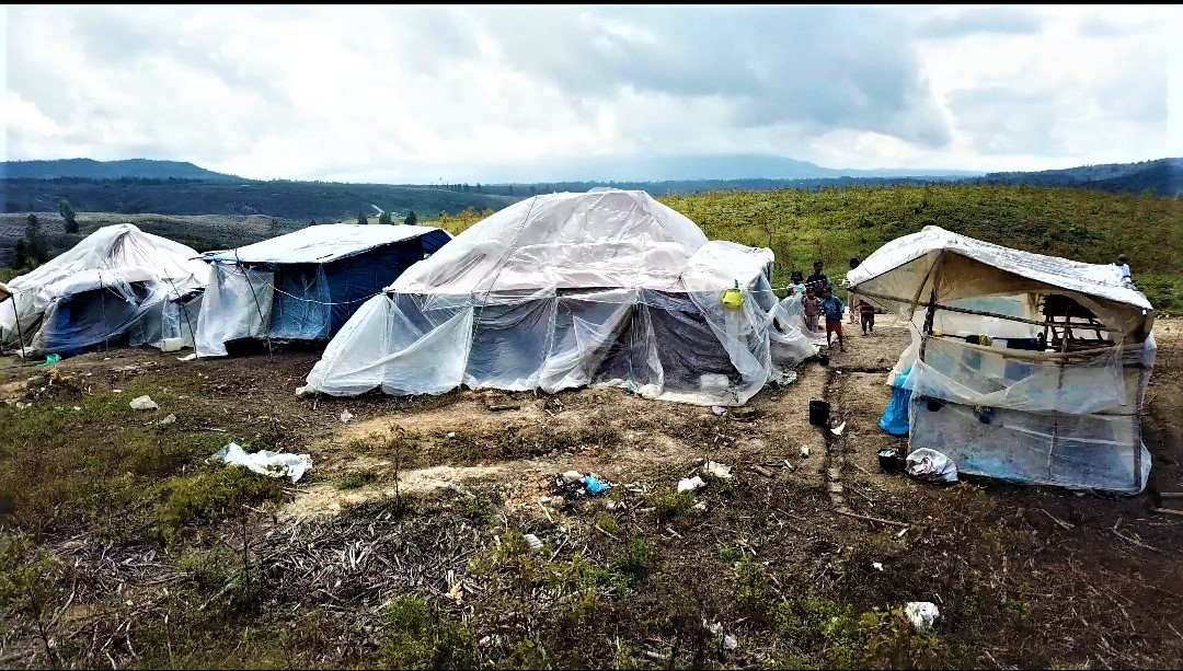 “Kerja Perbudakan Di Perkebunan Kayu Toba Pulp Lestari”