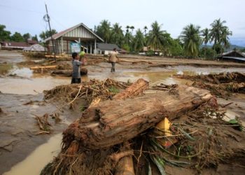 Hutan Habis, Bencana Datang: Tragedi Ekologis Terburuk dalam 35 Tahun Terakhir