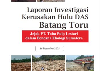 Laporan Investigasi Kerusakan Hulu DAS Batang Toru