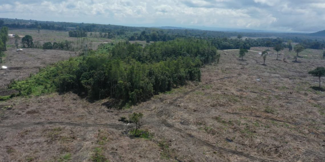 Jejak TPL dalam Bencana Ekologis Sumatera Utara
