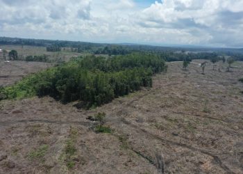 Jejak TPL dalam Bencana Ekologis Sumatera Utara