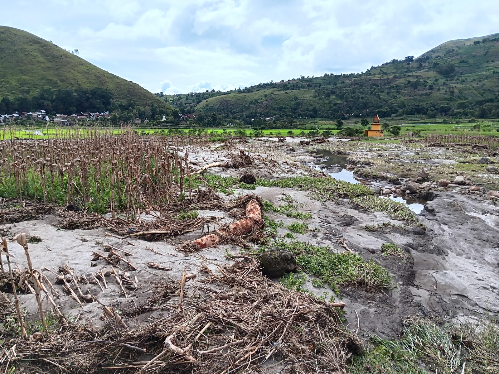 Dua Desa di Kabupaten Samosir dilanda Bencana Ekologis, Belasan Hektar Lahan Rusak