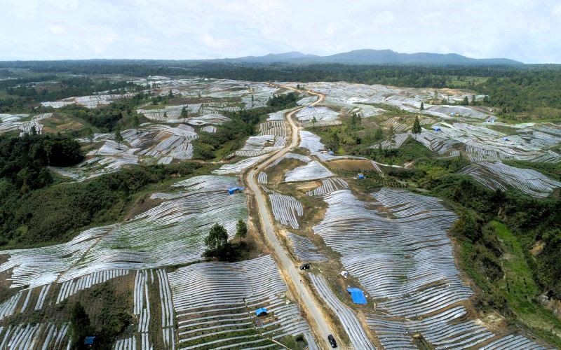 Petani di Pusaran Kepentingan Investasi: Belajar dari Implementasi Program Food Estate di Sumatera Utara
